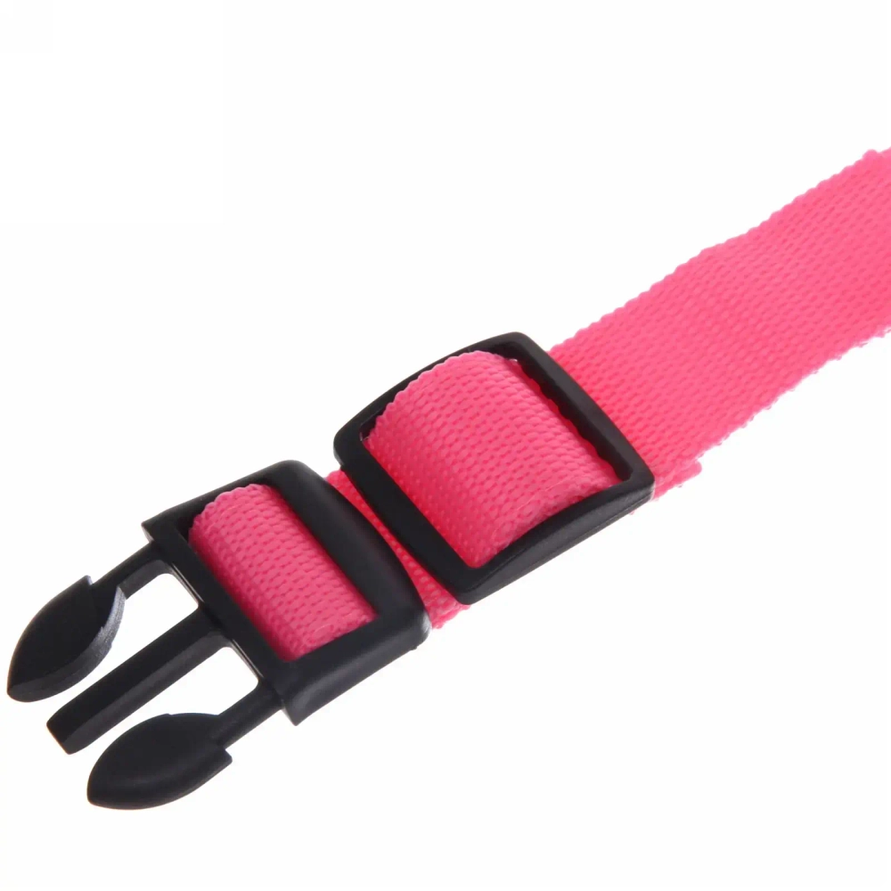 Ошейник для собак «Люмисцент» 2,5*40см светящийся, цвет розовый Ультрамарин