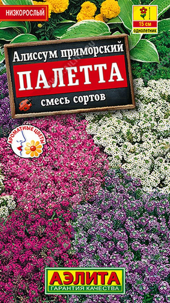 Алиссум &quot;G. Палетта&quot; 0.03г., Россия.