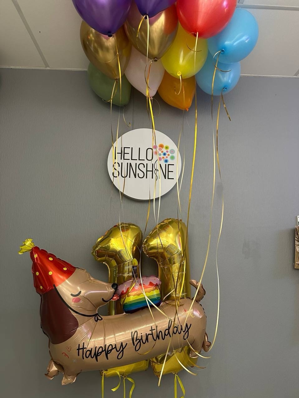 Набор шаров с таксой