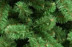 Искусственная сосна Крымская 150 см., мягкая хвоя, ЕлкиТорг (119150)