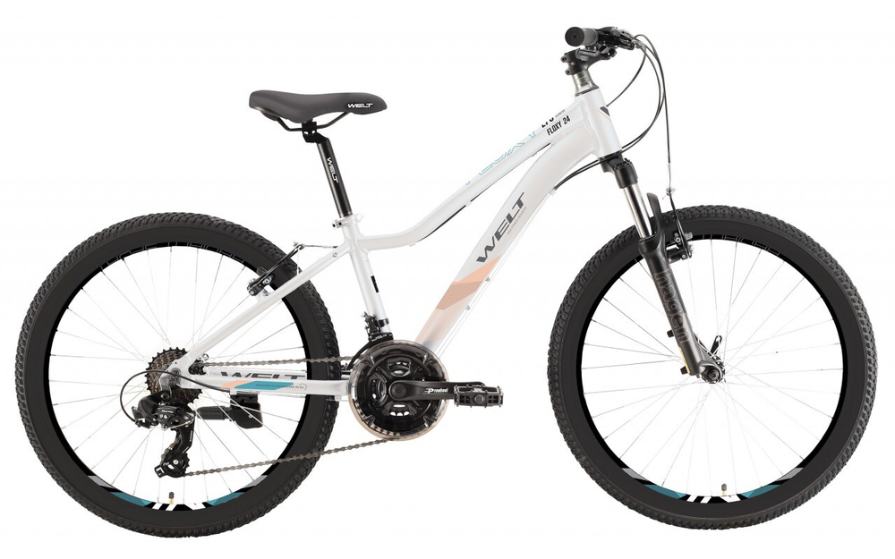 Велосипед детский Welt Floxy 24 2022