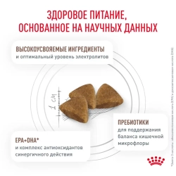 Royal canin gastrointestinal сухой диетический корм для взрослых кошек, при острых расстройствах пищеварения, в реабилитационный период и при истощении - 350 г
