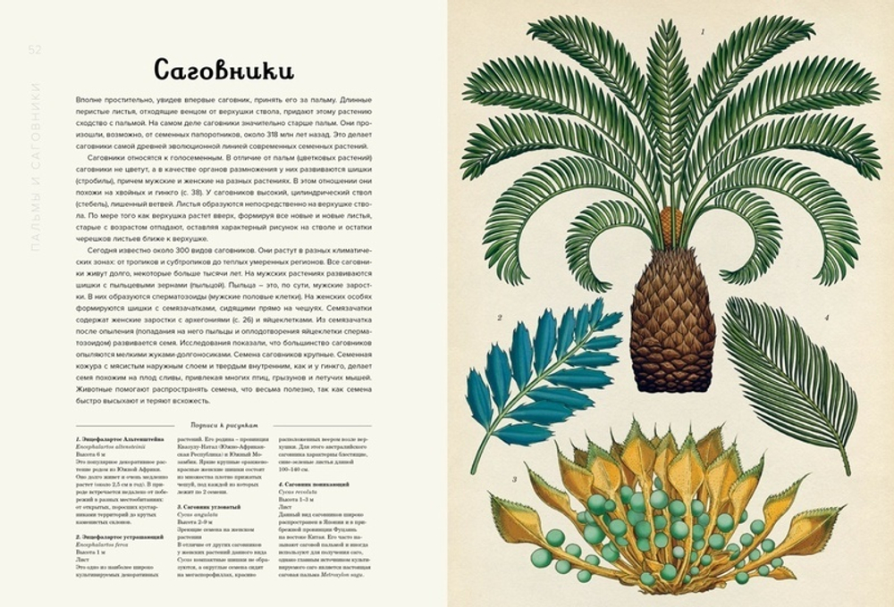 Добро пожаловать в музей. Ботаникум