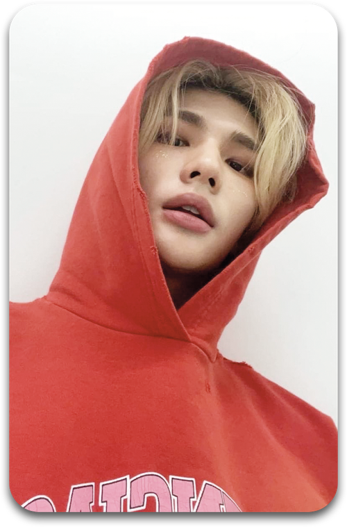 Карта / STRAY KIDS #0991