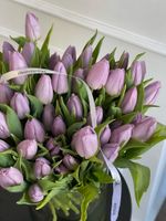Тюльпаны классика - лавандовый цвет ЗАКОНЧИЛСЯ