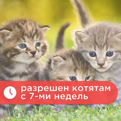Капли inspector Quadro К от гельминтов и других паразитов для кошек 4-8кг 3 пипетки