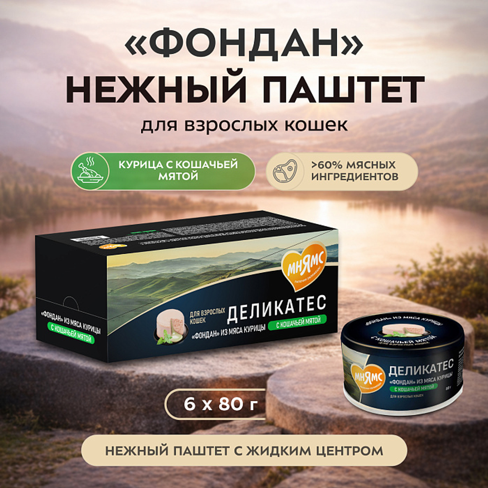 Влажный корм для кошек Деликатес Фондан из мяса курицы с кошачьей мятой Мнямс 80 г 6 шт