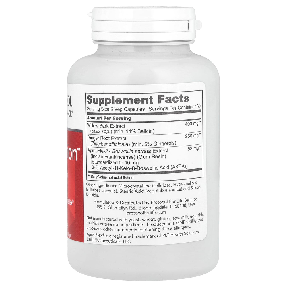 Protocol for Life Balance, Ache Action™, 120 растительных капсул