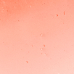 Inglot Juicy Lips Smoothing Lip Oil - Блеск для губ: олейк навильжающий до уст оттенок Sweet Orange, 4 ml