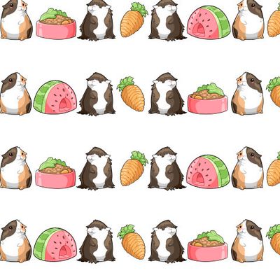 Морские свинки