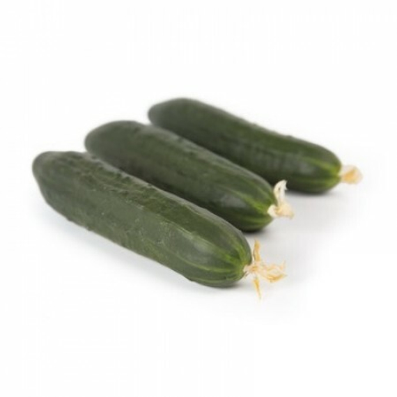 Святогор F1 семена огурца партенокарпического купить – фото 1