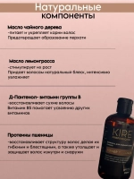 Шампунь POWER BALANCE для жирной кожи головы, 250 мл