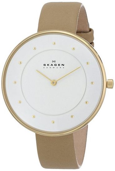 Наручные часы Skagen SKW2137
