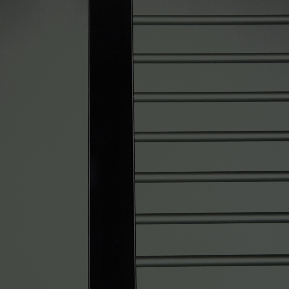 Стальная дверь "Ferrum" с зеркалом (биометрический замок). Заказная модель.