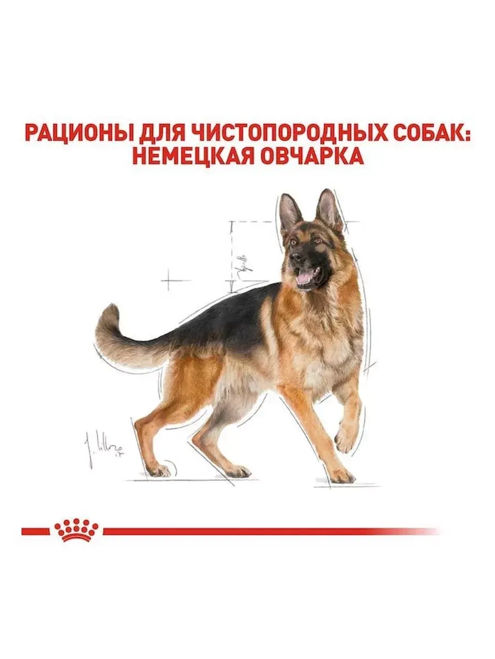 Royal Canin German Shepherd Adult PRO (Роял Канин немецкая овчарка) 16 кг.