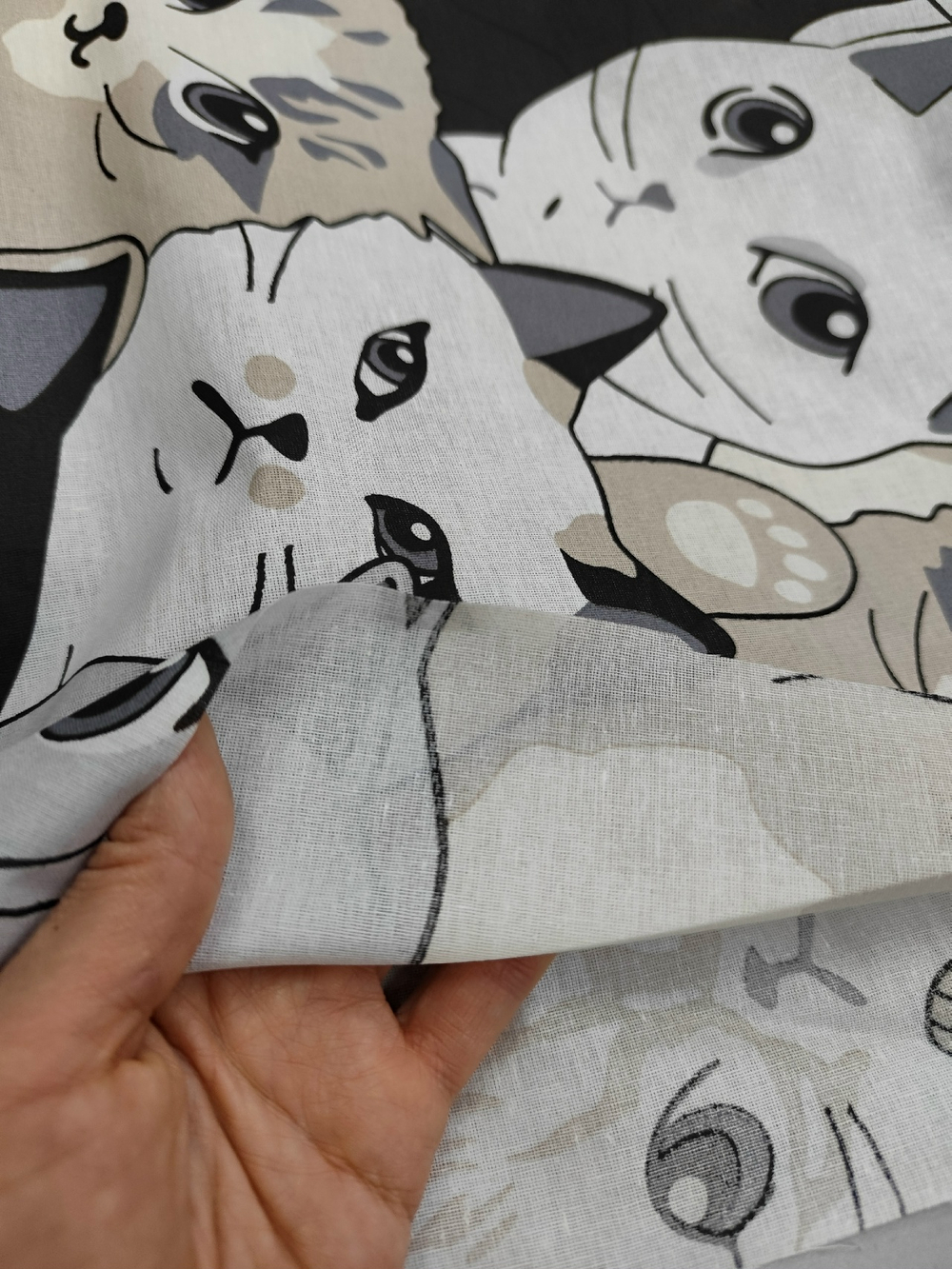 Поплин / Феликс