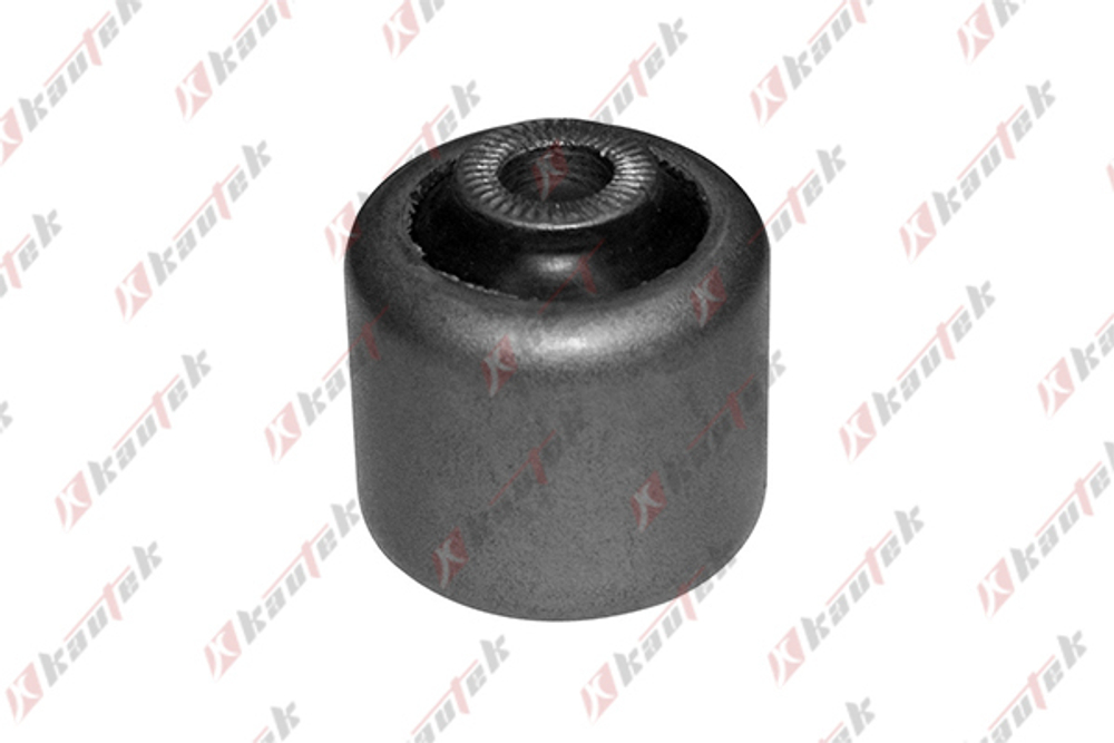 CIAK Truck - BMBS055-KTK - Mounting, control/trailing arm