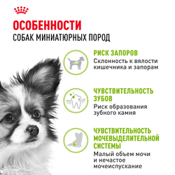 Royal Canin X-Small Adult Корм сухой для взрослых собак очень мелких размеров от 10 месяцев - 0,5 кг