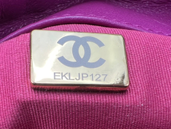 Chanel 19 Bag (2 sizes)