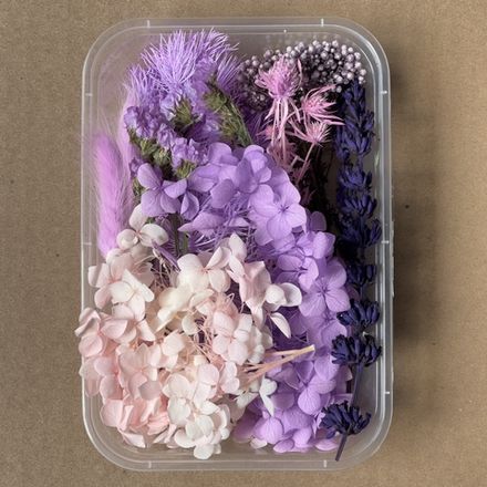 Сухоцветы набор №3