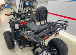 Электроквадроцикл Ikingi 139