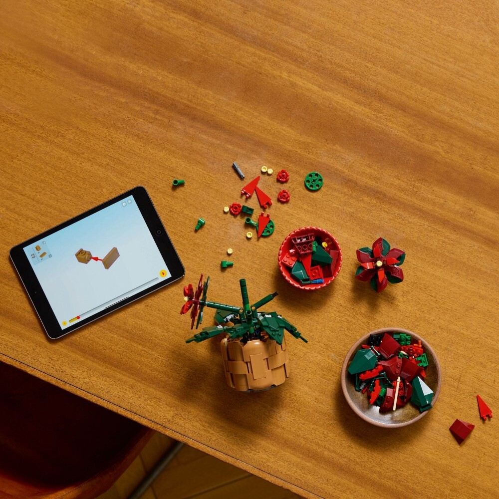 LEGO Botanicals - Вифлеемская звезда 10370