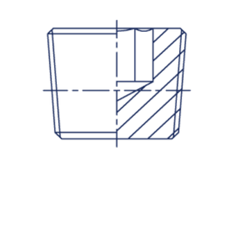 05 ЗАГЛУШКА BSPT/NPT