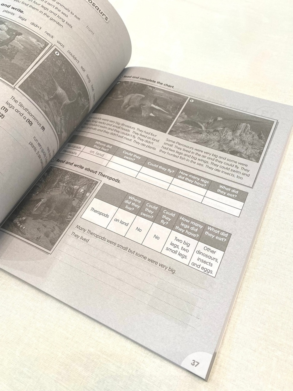 Fly High 4 Pack (Pupil's book+Activity book)