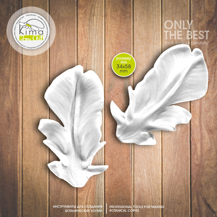 Тюльпан Рококо