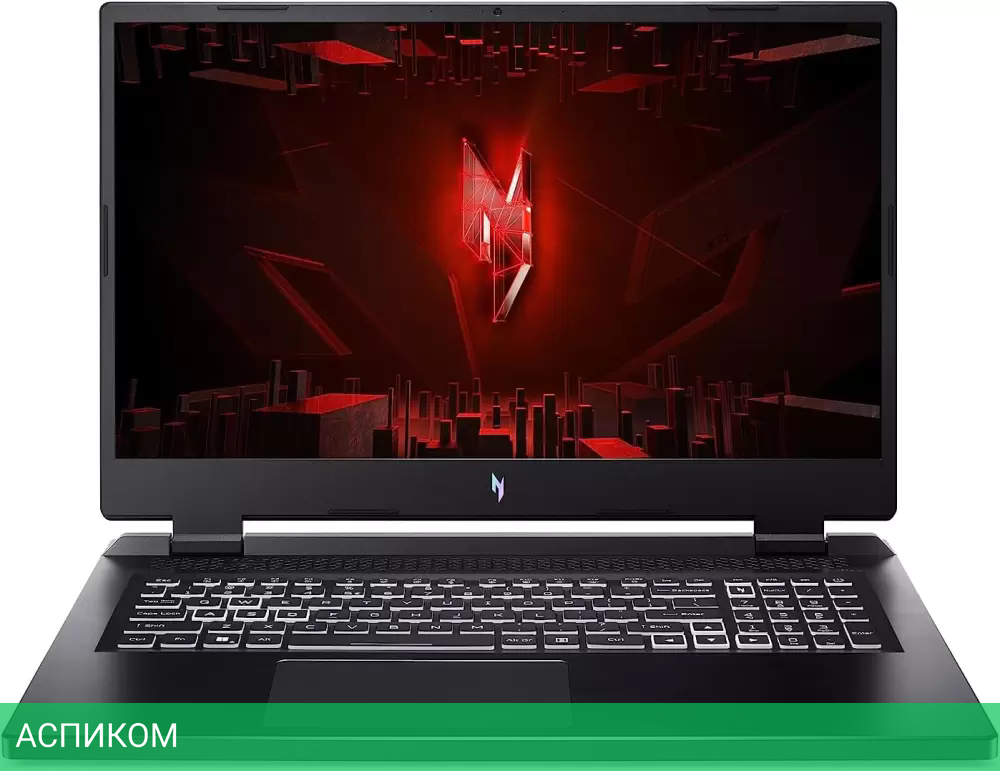 Ноутбук Acer Nitro 17 AN17-42-R6JV NH.QSDCD.002