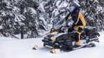 Снегоход BRP Ski Doo Skandic LE 24" 900 Ace
