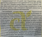 Свекла Славянка 2 г СМС39