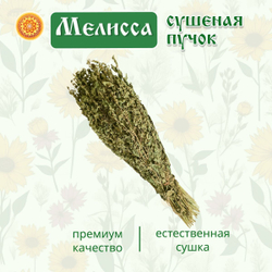 Мелисса лимонная пучок.