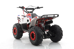 Квадроцикл MOTAX Grizlik A110