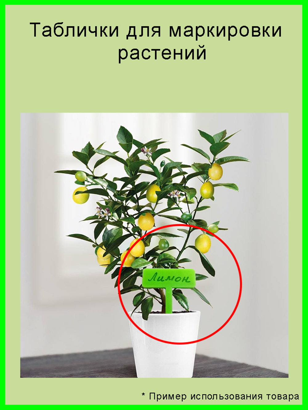 Табличка садовая для маркировки растений, 8 шт.