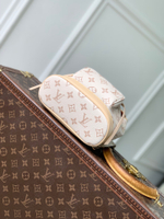 Louis Vuitton Montsouris Mini