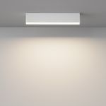 Потолочный светильник Technical C068CL-20W3-6K-W