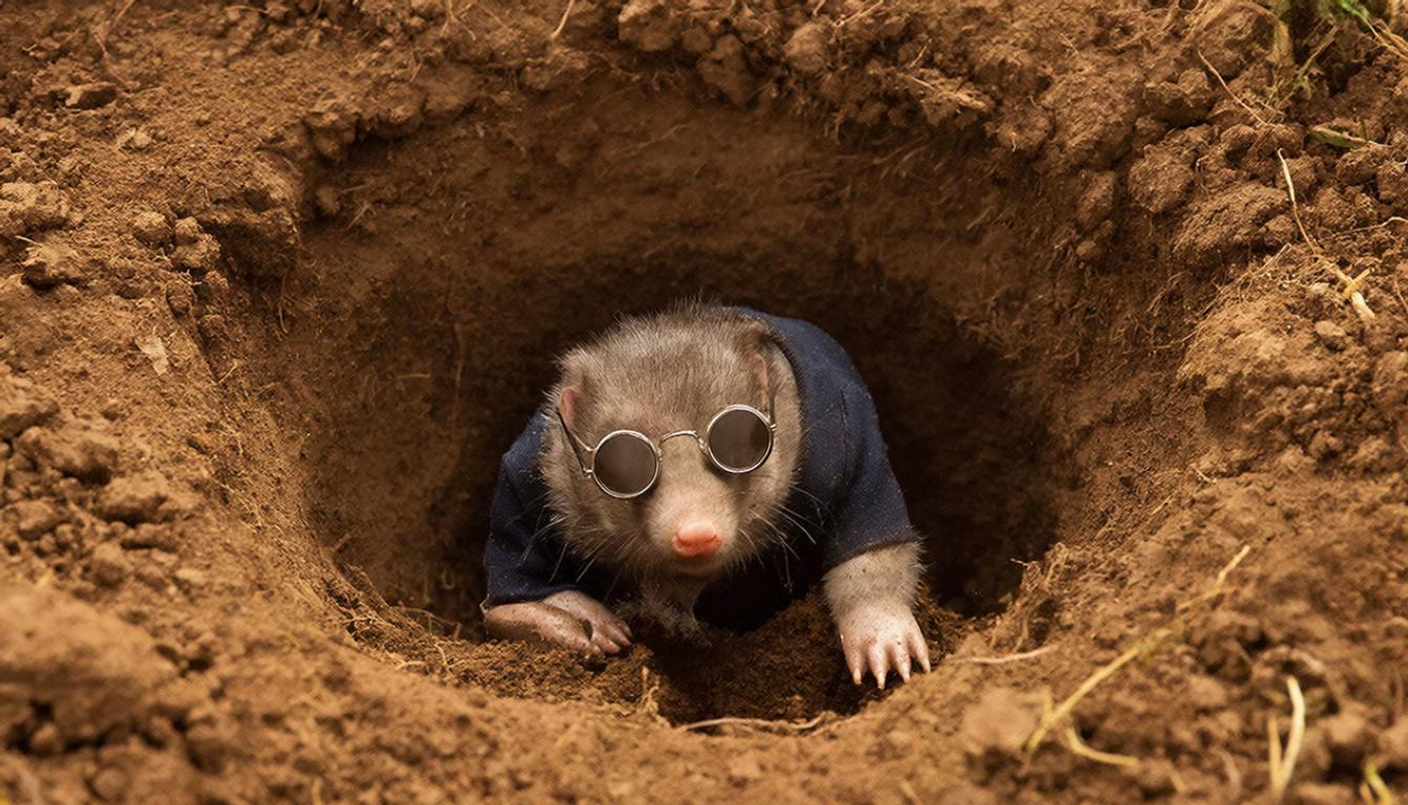 Особенности подбора очков при заболеваниях глаз: безопасность и качество в Санкт-Петербурге