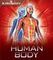 Navigators: Human Body