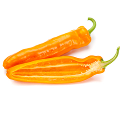 Cемена перца сладкого Палермо Обедиус F1