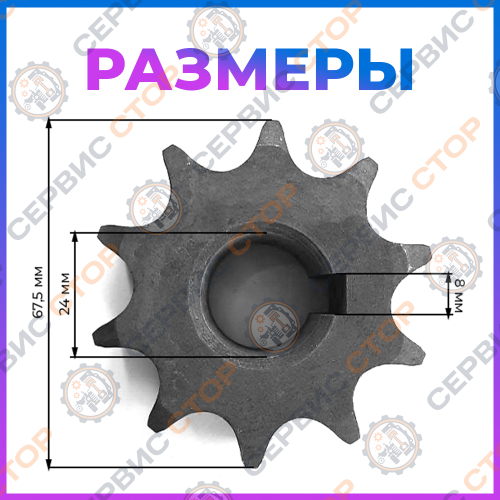 Звездочка двухрядная привода редуктора Z-10 (Ф-24 мм, шпонка)