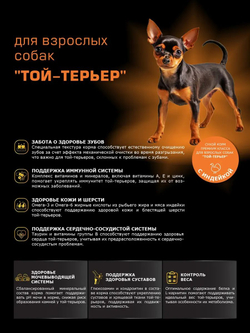 Корм сухой для взрослых собак породы Той-терьер, с индейкой, 12 кг, QUATTRO