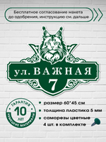 Адресная табличка на дом с котом мейн-куном, 60х45 см.