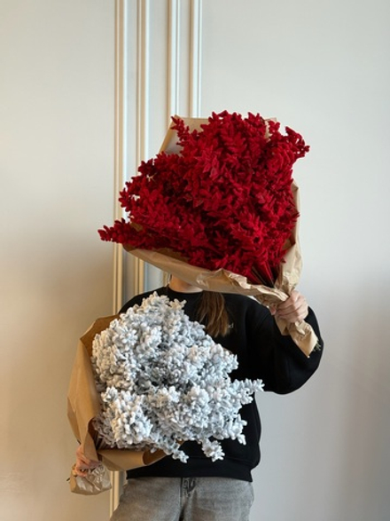 охапка снежные ветки красные