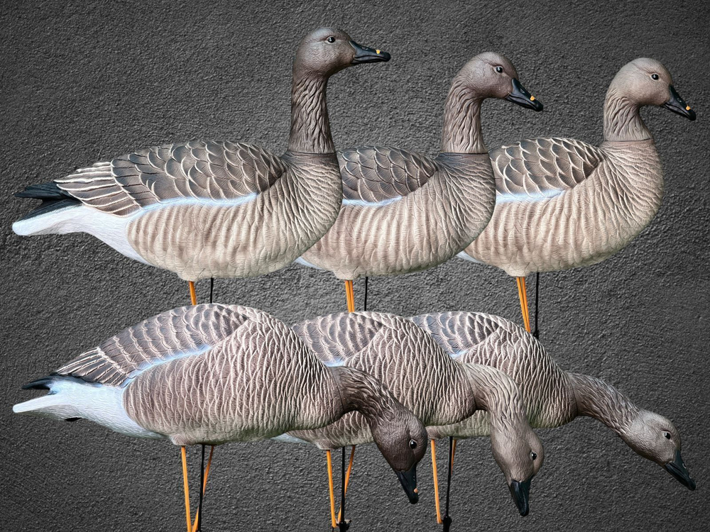 Гуменник гусь Oscar Decoys Avian-Mix ELITE 3D 6 шт Сминаемые (3-корм,2-отд,1-сторож) Съемные головы