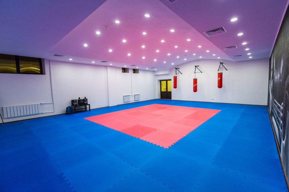 Будо-мат (татами) BABYPUZZ (1 плита 100x100x2,5см, 1кв.м./уп) "Сине-красный"