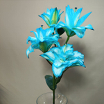 Лилия "Сара" (махровая)