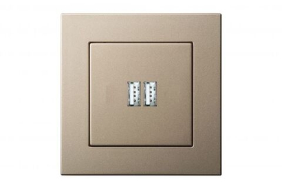 Розетка USB Двойная для Зарядки УМНАЯ 5V(3,4А) Шампань LIREGUS EPSILON