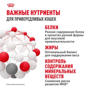 Сухой корм Royal Canin Savour Exigent для привередливых взрослых кошек от 1 года