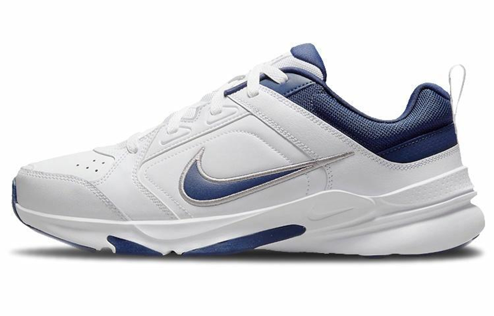Кроссовки Nike Defy All Day